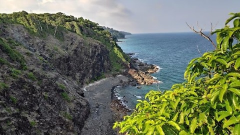 Birdwatching at Chidiya Tapu